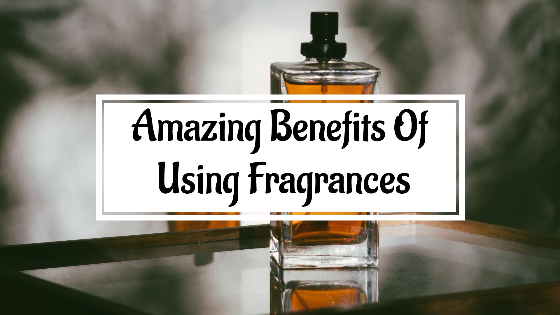 Top 10 Benefits of using perfumes and OUD - SOUK GALLERIA