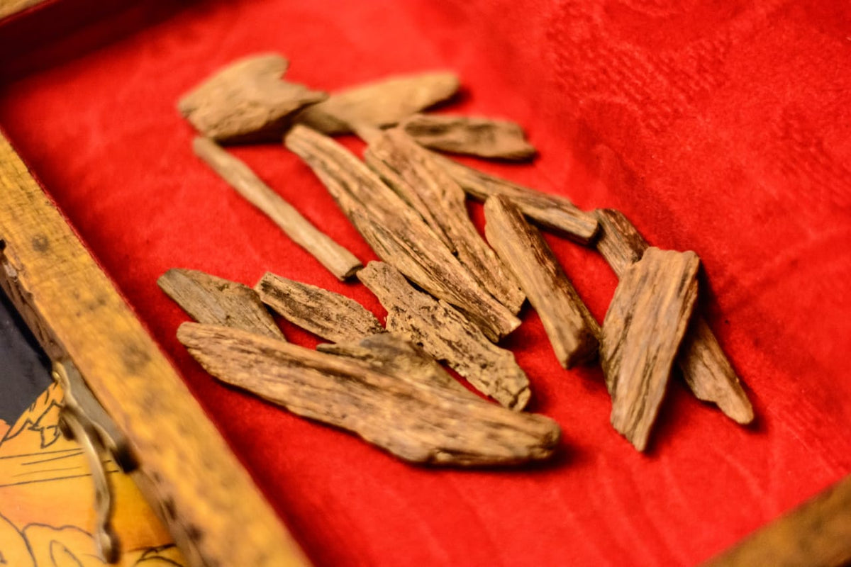 KHASHAB CAMBODI (Real Oud Wood)