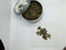 GREEN TEA